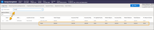 Ledger view showing search by a single encounter and a yellow highlight box around the grand total fields.